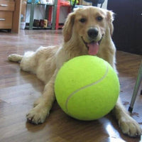 Thumbnail for Jumbo Tennis Ball