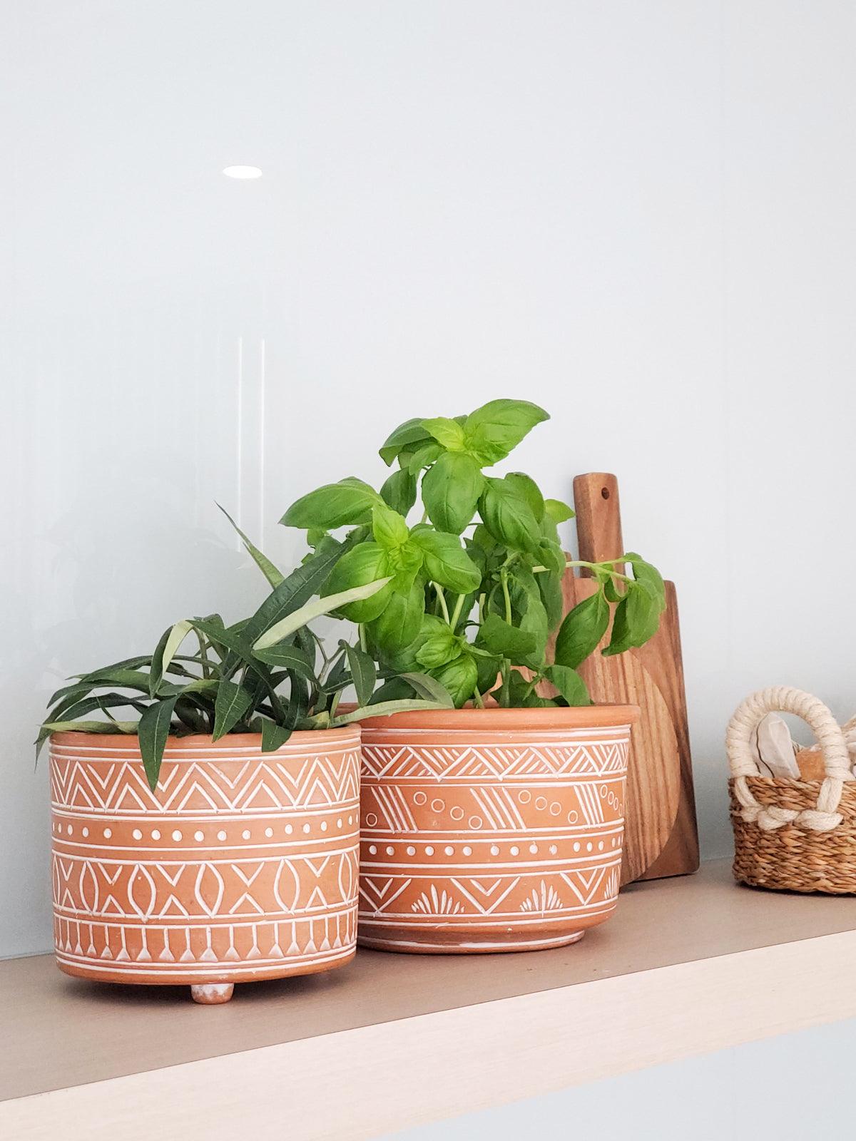 Hand Etched Terracotta Pot - Small