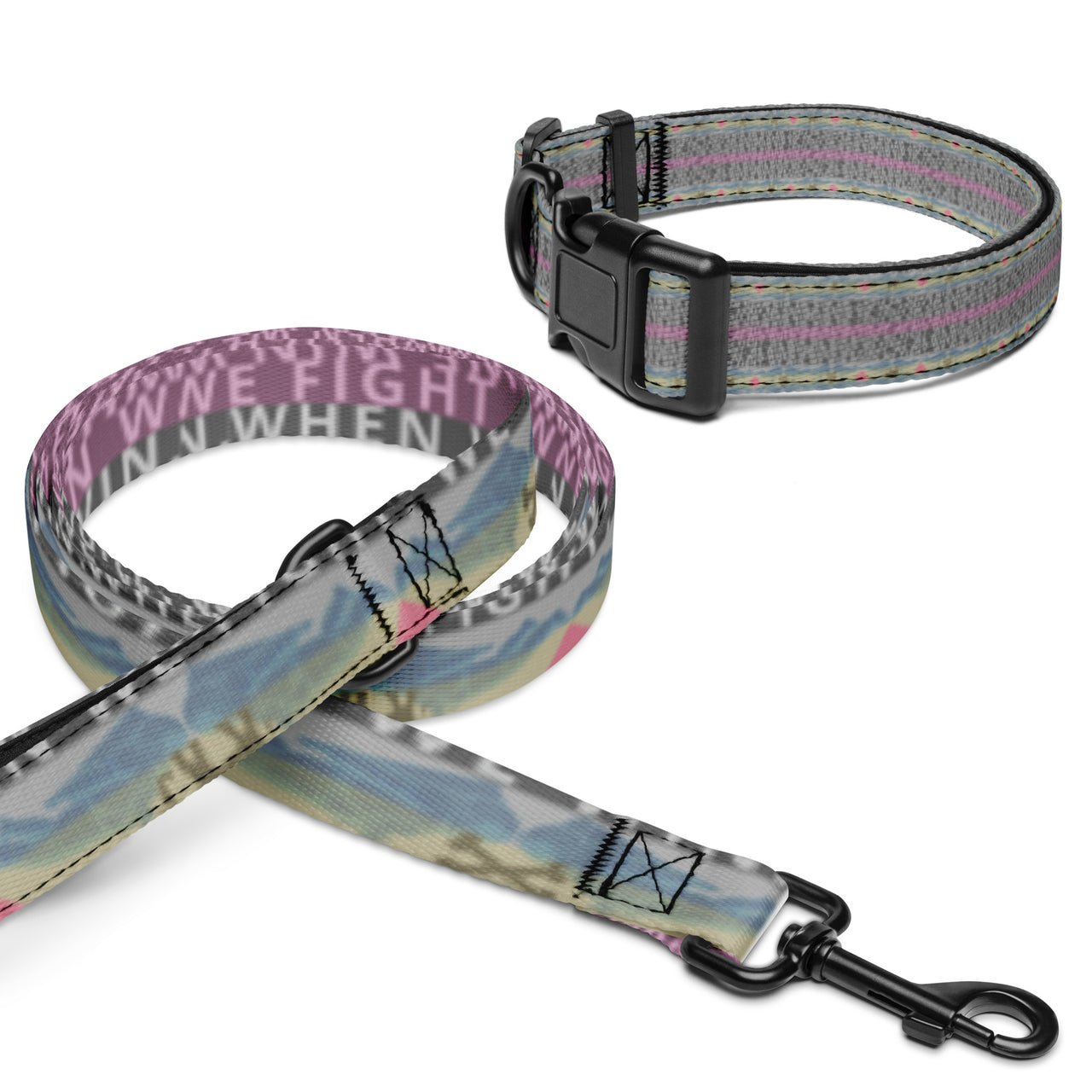 Pet collar & leash