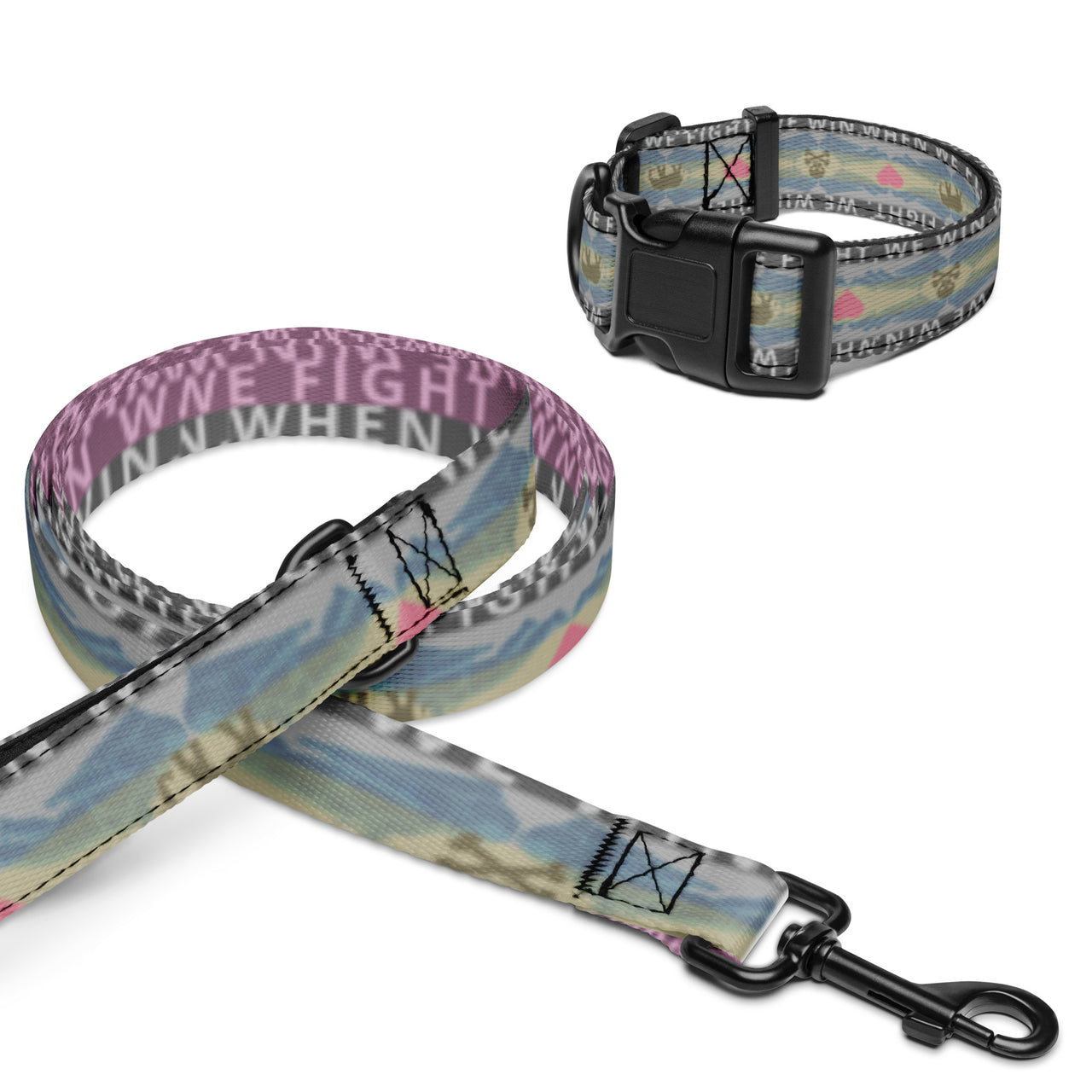 Pet collar & leash